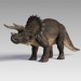 triceratops_var1_001-1